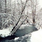 Campbell Creek in winter