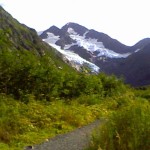 Trail leading up to the glacier. Photo by Tina Rick.