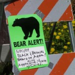 Bear warning. Photo by Paul 'Kegger' Koecher.