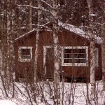 Nancy Lake Cabin #3