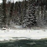 Frozen creek in winter
