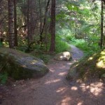 Tongass trail. Photo by Turner Vail.